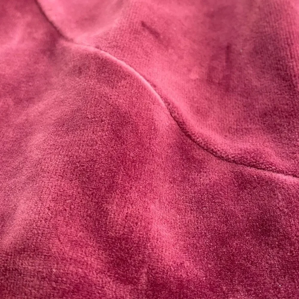 Nike Air Jordan Velour Velvet Jogger Pants Maroon AH2361-609 Mens size Large - Picture 4 of 8